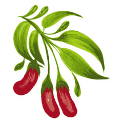 Wall Mural - decorative ornament red berries