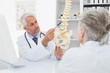 © WavebreakMediaMicro - Male doctor explaining the spine to senior patient