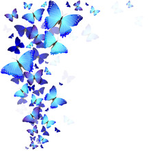 Background Of Butterflies