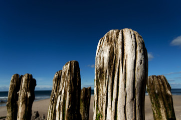 Wall Mural - Sylt