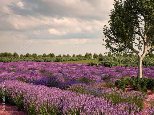 Naklejka - mata magnetyczna na lodówkę Provence