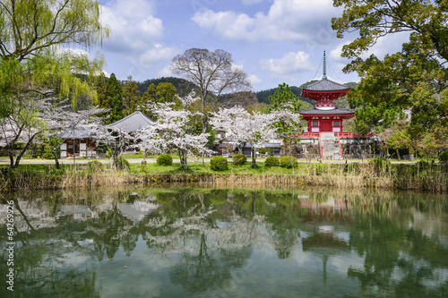 Fotoboard na płycie Świątynia Daikoku-ji, Kioto, Japonia