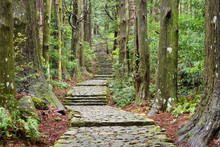 Kumano Kodo, Sacred Trail In Wakayama, Japan