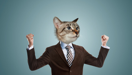 Business man cat head