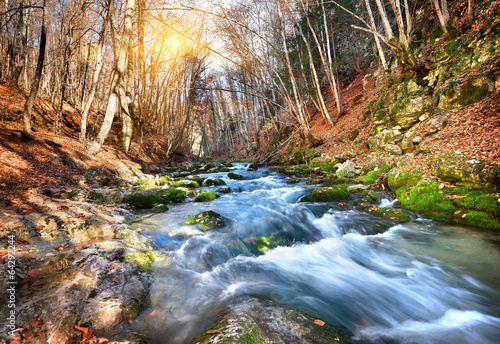 Naklejka na szybę Mountain river