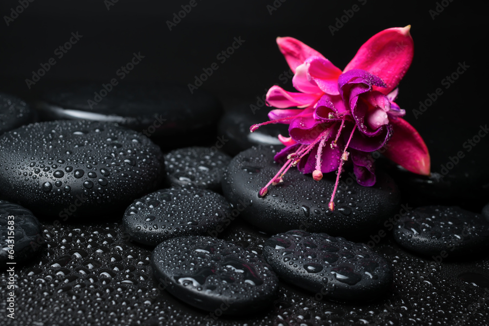 Spa concept of pink with red fuchsia flower and zen stones with - obrazy, fototapety, plakaty 