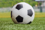 Fototapeta Sport - soccer ball on the grass