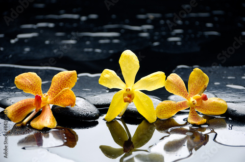 Naklejka dekoracyjna spa concept –three orchid with stones and wet background