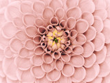 160_f_64366297_acvn7hkhopfvvzcevrd2bwv0hmt8rwah
