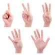 isolated children hands show the number one two three four five
