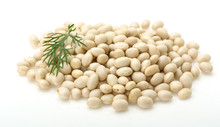 White Dry Beans