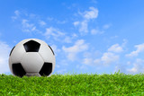 Fototapeta Pokój dzieciecy - Soccer ball on grass with blue sky
