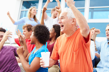 Canvas Print - Spectators Cheering At Outdoor Sports Event