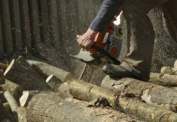 Man cuts a fallen tree.