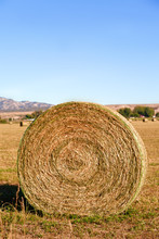 Round Golden Hay Bale On Farmland