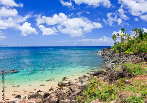 Naklejka samoprzylepna Waimea bay beach, oahu, hawaje