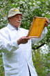 doświadczony pszczelarz pracujący w pasiece w okresie wiosennym