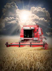 Wall Mural - Combine harvesting wheat.