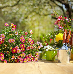 Wall Mural - Outdoor gardening tools and flowers on old wood table