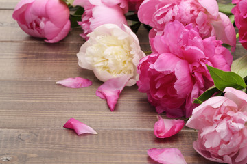 Poster - pink peonies on wooden background