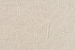© homydesign - Beige vinyl texture