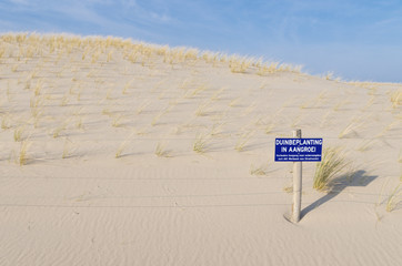 Wall Mural - dune grass