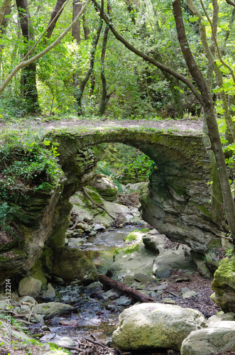 Obraz w ramie Stone bridge in a forest