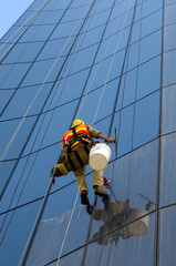 Window cleaner