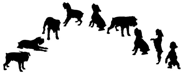 Canvas Print - Vector silhouette of a dog.