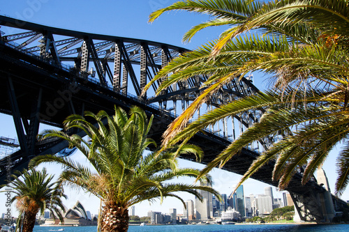 Fotoboard na płycie Sydney Harbour Bridge i panoramę miasta z palmami, Australia