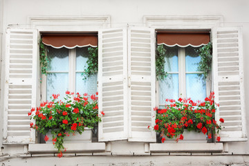 Canvas Print - Windows in Paris