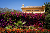 Fototapeta Kwiaty - Hiszpania dom kolorowy góry kwiaty