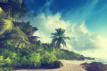 Wall Mural - sunset on Seychelles beach