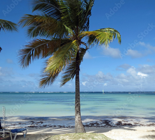 Plage Et Lagon De République Dominicaine Buy This Stock