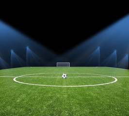 Wall Mural - soccer field with the lights