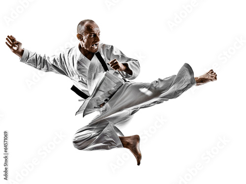 Dekoracja na wymiar  karateka