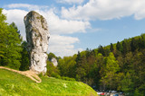 Fototapeta  - Maczuga Herkulesa, rock in National Ojcow Park, Poland