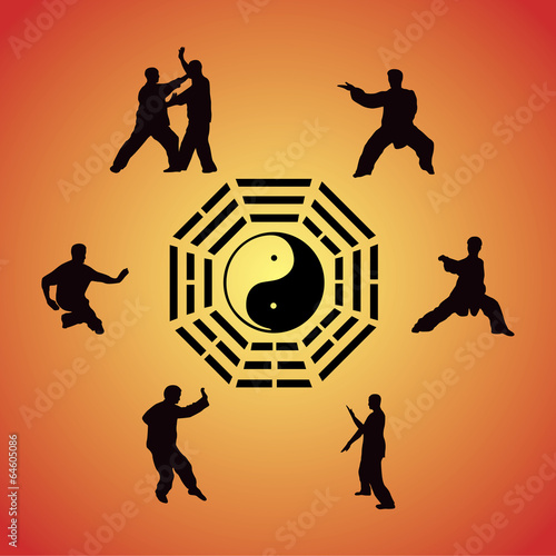 Fotografie, Obraz Set of images of people of engaged Kung fu
