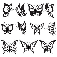 Vector Set Black And White Butterflies