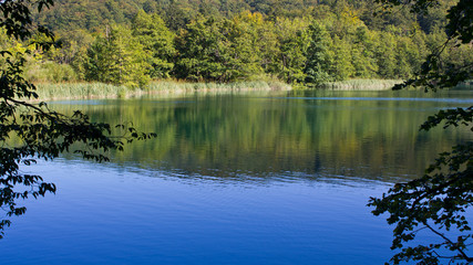 Sticker - Lake in the forest