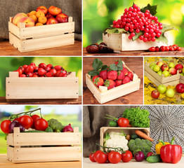 Collage of fruits and vegetables in wooden boxes