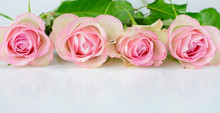 Four Pink Roses
