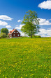 Vertical view of Swedish farm in May