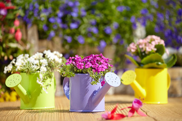 Wall Mural - Outdoor gardening tools and flowers on old wood table