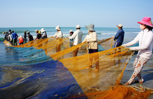 Group Of Fisherman Pull Fish Net