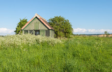 Old Wooden Barn Overgrown With Weeds