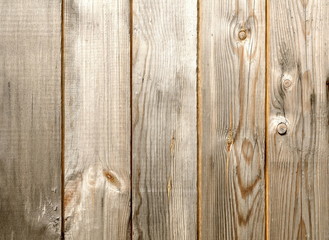 Wall Mural - Wood background