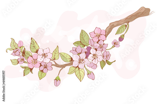 Board z aluminiowym obramowaniem Gałąź wiśni sakura