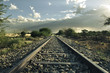 Railway tracks running through South African bushveld