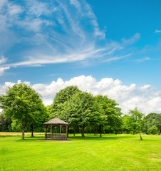 green park trees over blue sky